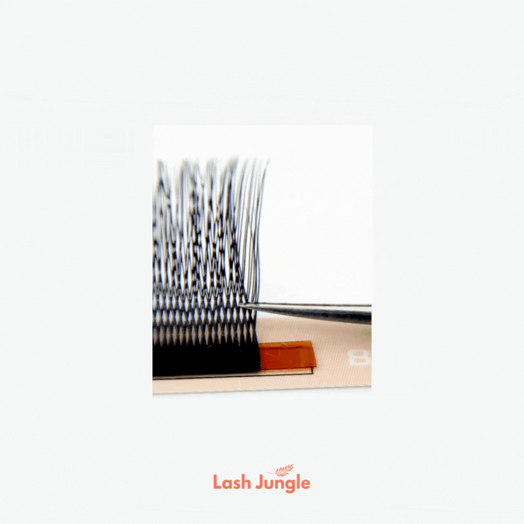 Double Classic Lashes