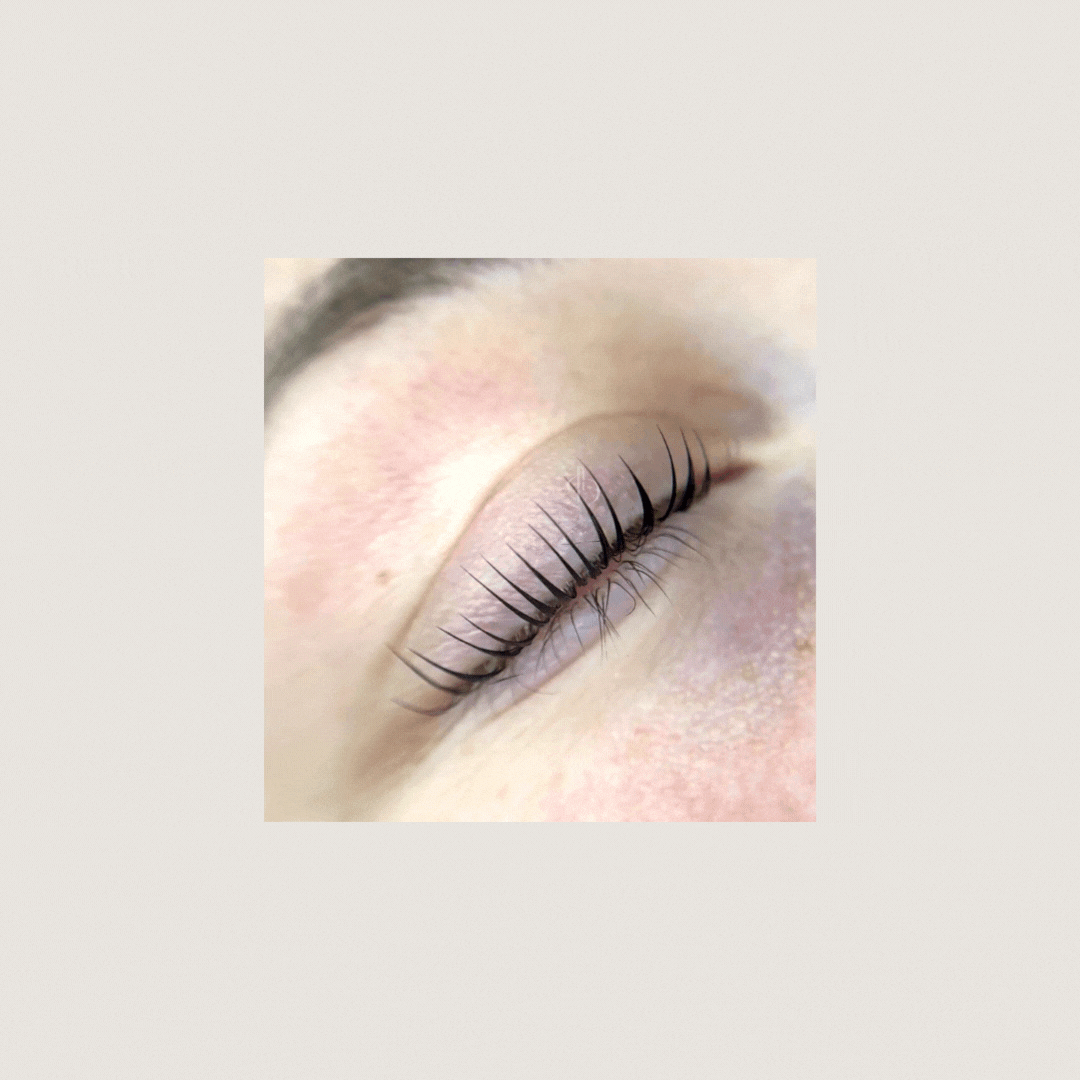 Korean Lash Lift Complete Kit | Alba