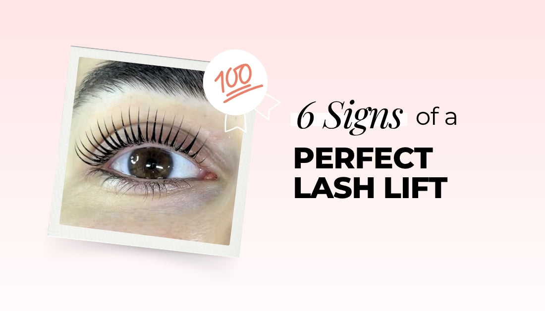 6 Signs of a Perfect Lash Lift