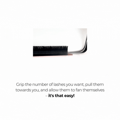 Easy Fan Volume Lashes 0.05