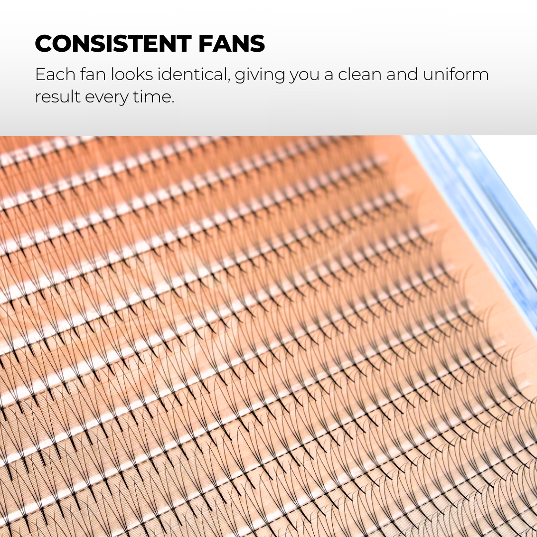 3D Premade Volume Fans Ultra Dark Pointy Stem