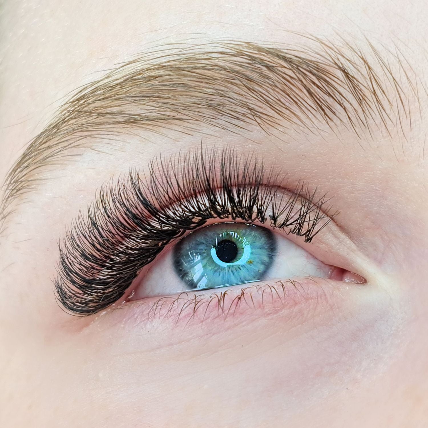 Shop 3D Volume Lash Extensions – Lash Jungle