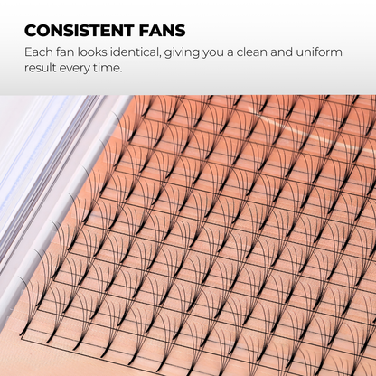 4D Premade Volume Fans Ultra Dark Long Stem