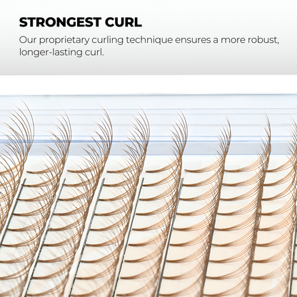 5D Brown Premade Volume Fans Short Stem