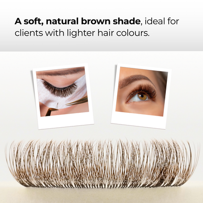 5D Brown Premade Volume Fans Short Stem