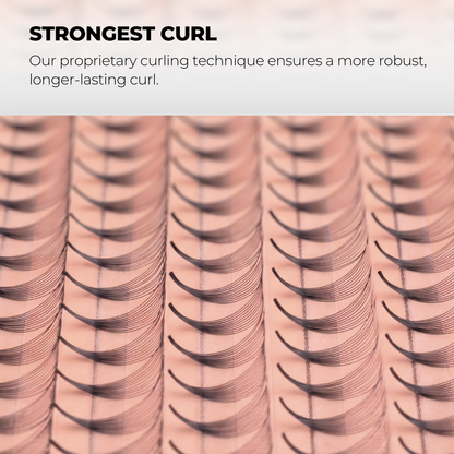 5D Premade Volume Fans Ultra Dark Long Stem