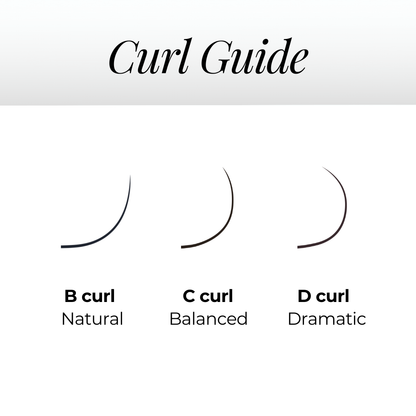 5D Premade Volume Fans Ultra Dark Short Stem