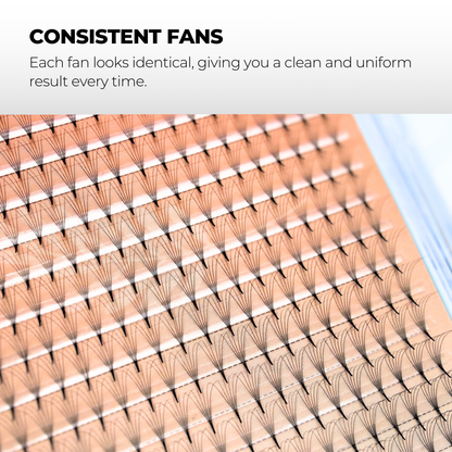 6D Premade Volume Fans Ultra Dark Pointy Stem