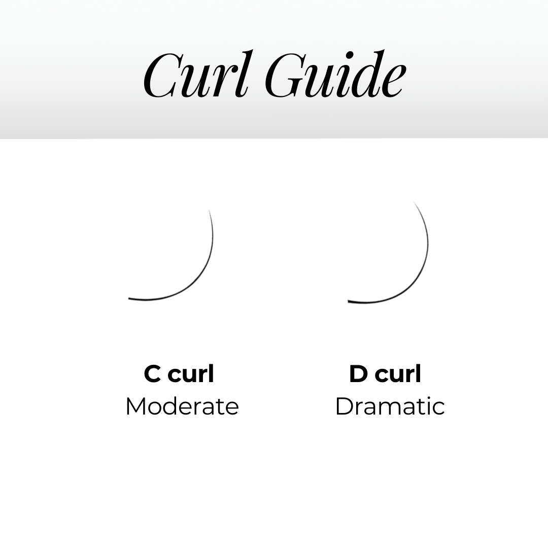 6D Premade Volume Fans Ultra Dark Pointy Stem