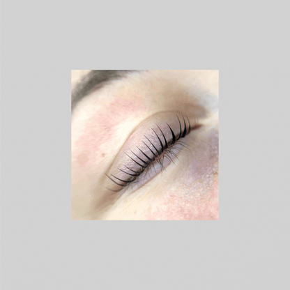 Re;Set Lash Lift &amp; Brow Lamination Set | Alba