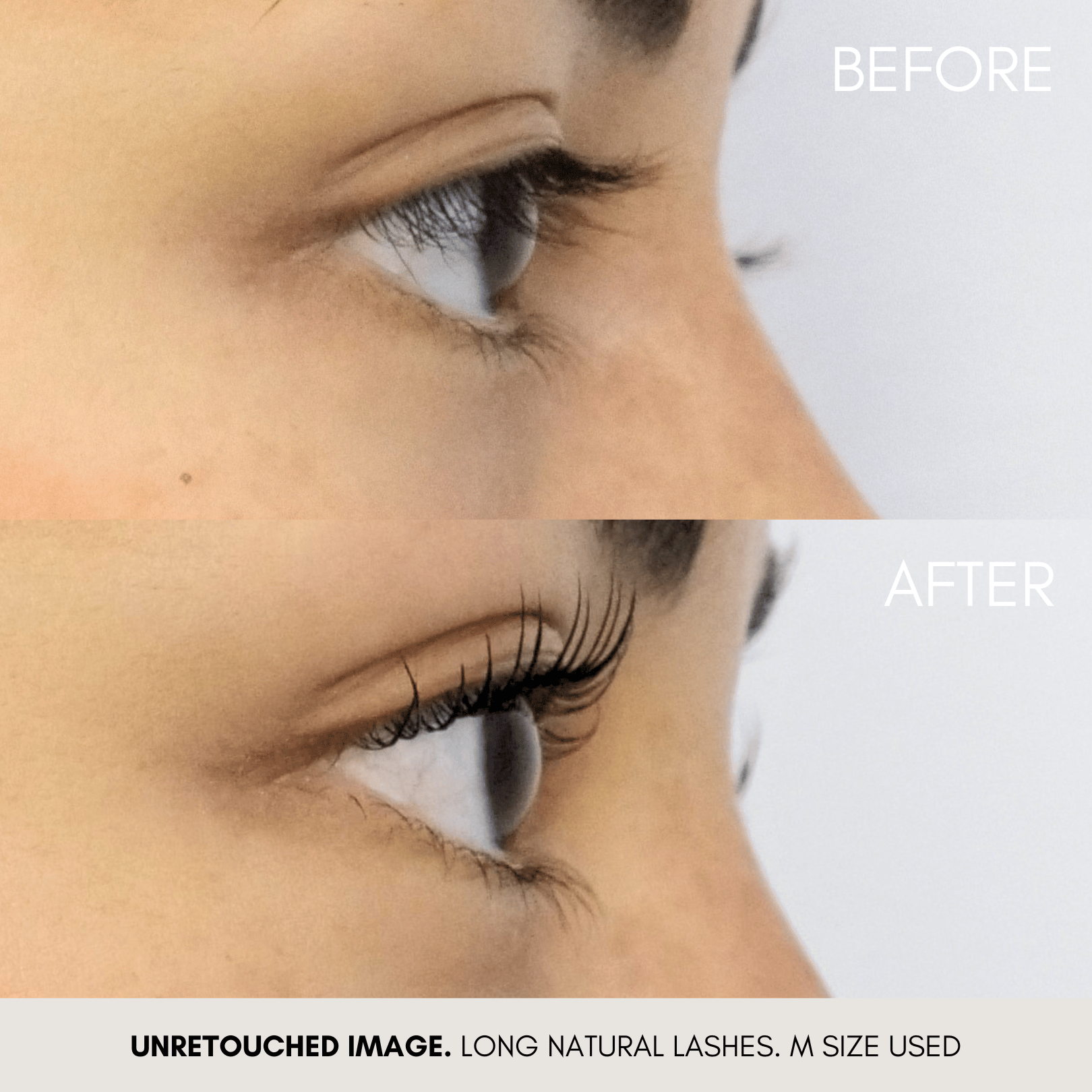 Alba Universal Lash Lifting Shields results