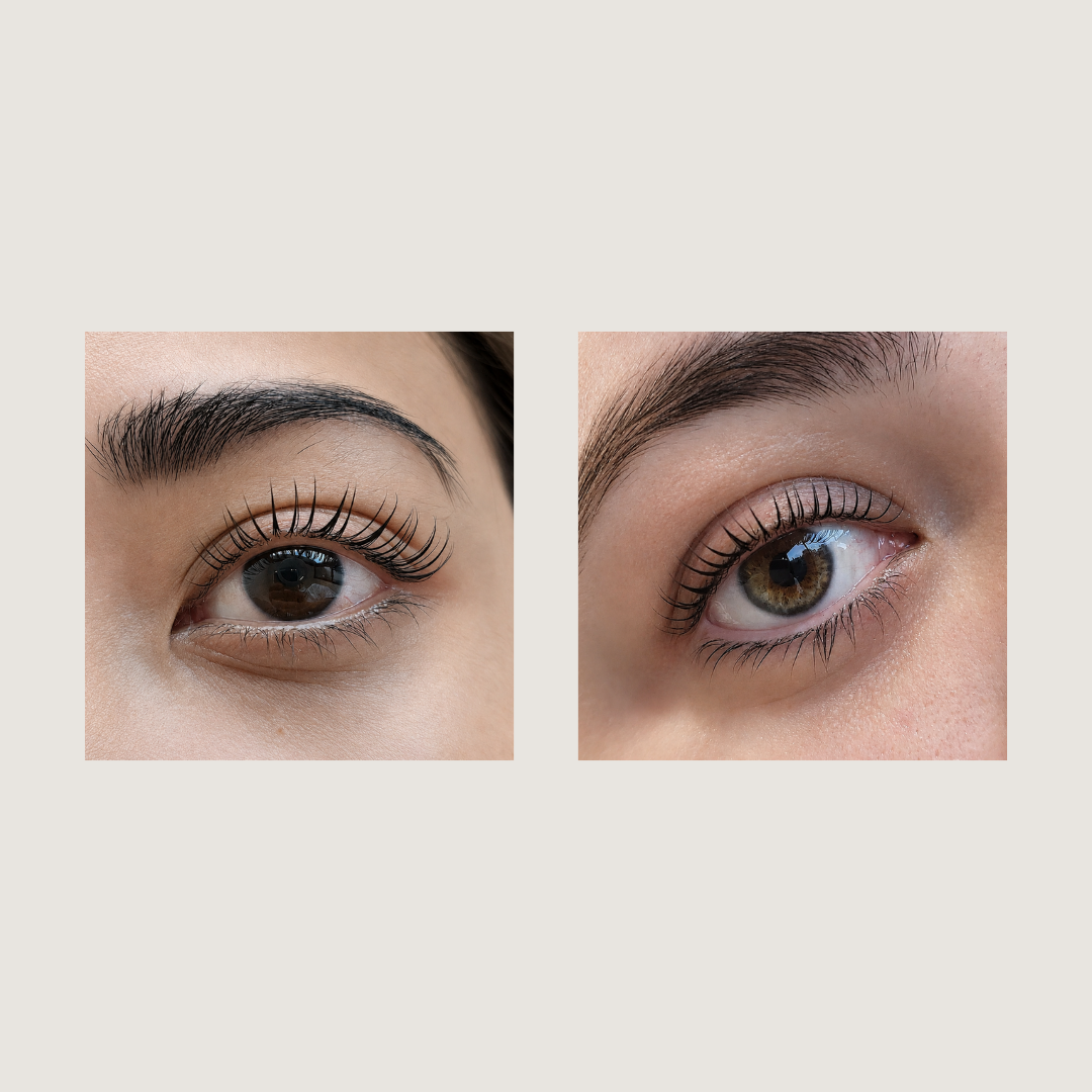 C curl Lash Lifting Shields | Alba