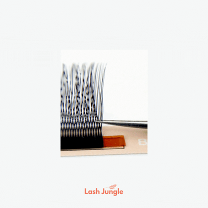 Double Classic Lashes
