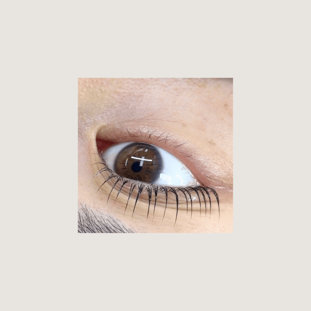 UltraLift Lash Lifting Shields | Alba